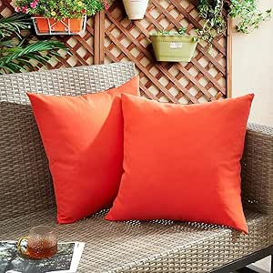 puredown® Outdoor Waterproof Throw Pillows, 18 x 18 Inch Feathers and Down Filled Decorative Squ... | Amazon (US)