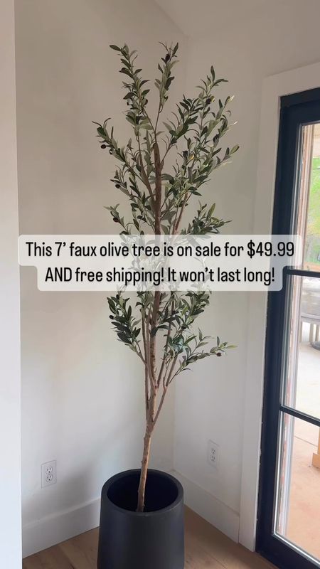 I wish I saved all the DMs about this 7’ faux olive tree to share, because it’s #sogood! $49.99 and free shipping! 

#LTKHome #LTKFindsUnder50 #LTKSaleAlert