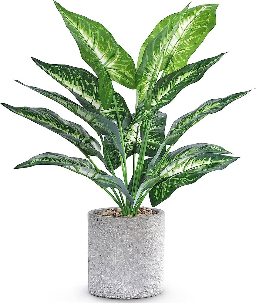 WUKOKU 16" Small Fake Plants Artificial Potted Faux Plants Desk Plant for Home Office Farmhouse K... | Amazon (US)