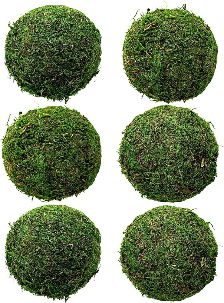 Natural Green Moss Decorative Ball 3.5" Set of 6, Hanging Balls with Handmade, Hanging Balls Vase... | Amazon (US)
