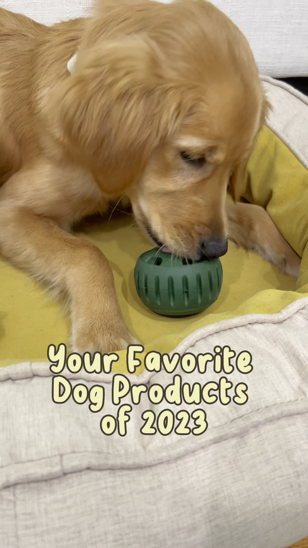 As many of you know, we love exploring different dog products and sharing them with you all. We asked you guys to share us your favorite product of 2023. Here are the top 5 Favorites! 

#5 No-drip Water Bowl
#4 Dog Raincoat 
#3 Bob-a-lot Feeder
#2 Remote Button Dispenser
#1 West Paw Toppl



#LTKVideo