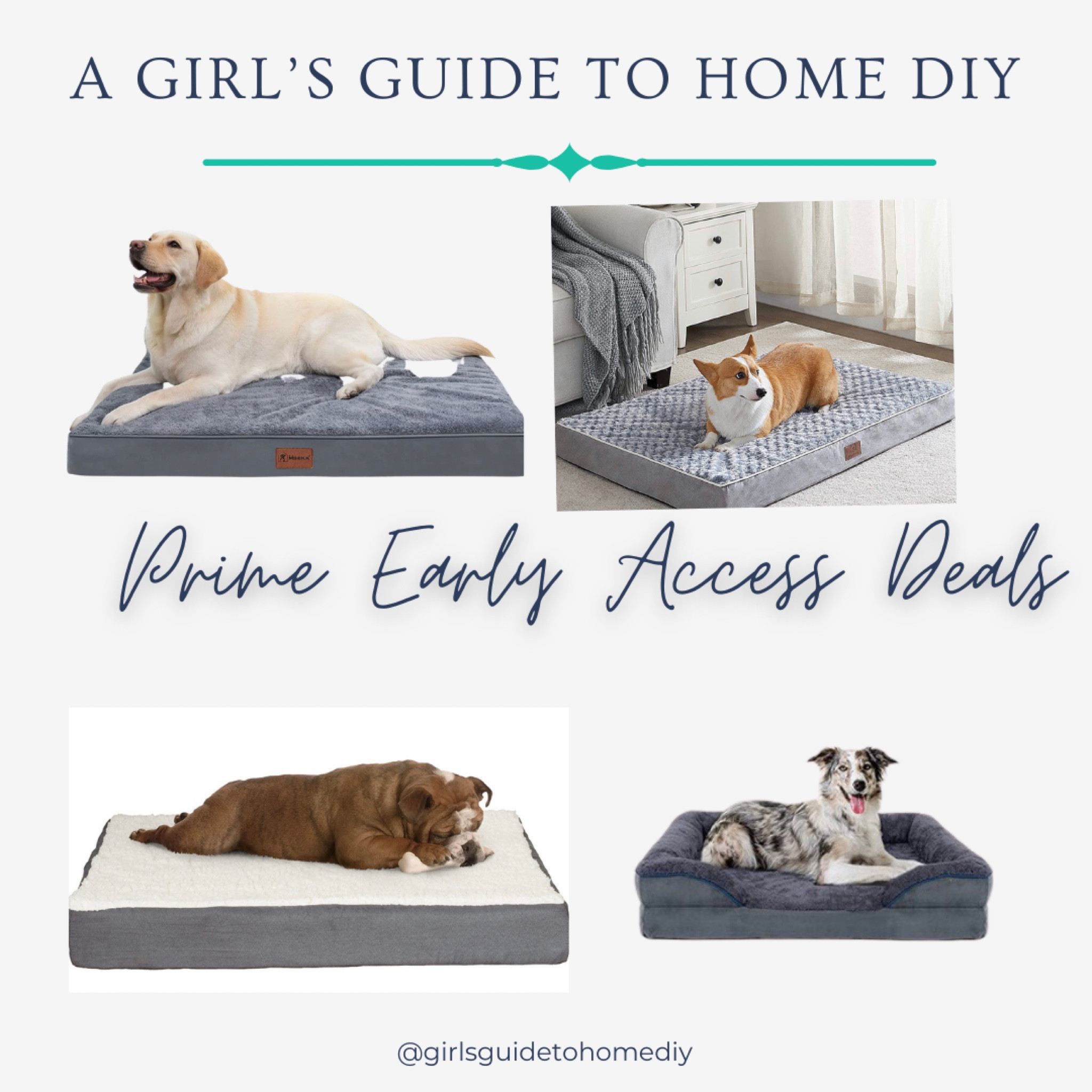 Plenty of dog beds under $50 on Prime’s Early Access Deals! Dog beds, gifts for pets, gifts for dogs, pet deals, pet sale 

#LTKsalealert #LTKGiftGuide #LTKunder50