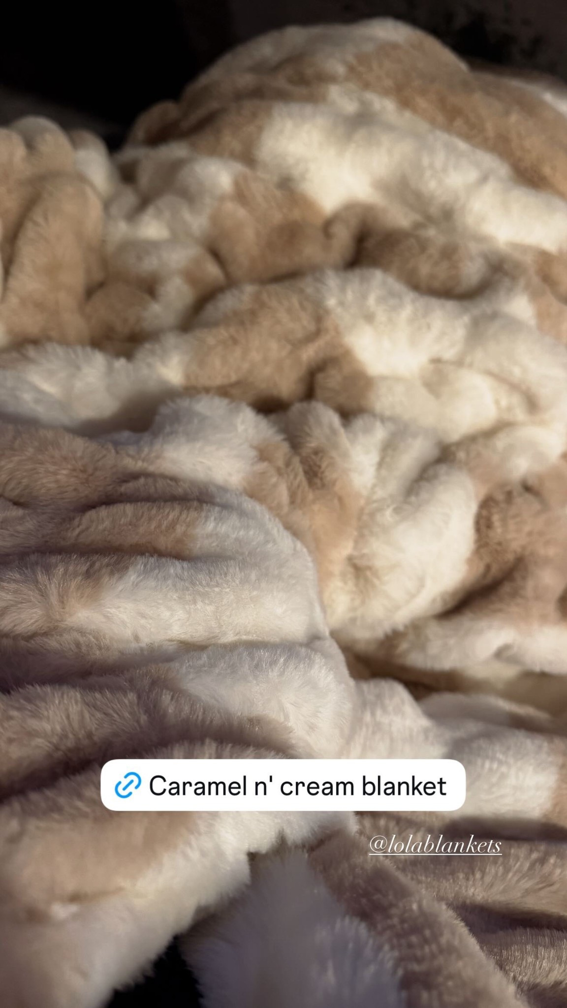 Always warm and cozy when bundled up with my caramel n’ cream blanket!

#LTKHoliday #LTKGiftGuide #LTKHome
