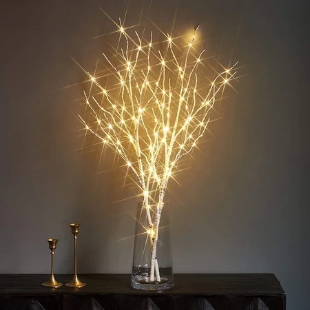 Fudios Branch Light with Timer Battery Operated Lighted Birch Branches 35in 100 LED White Twig Light | Walmart (US)