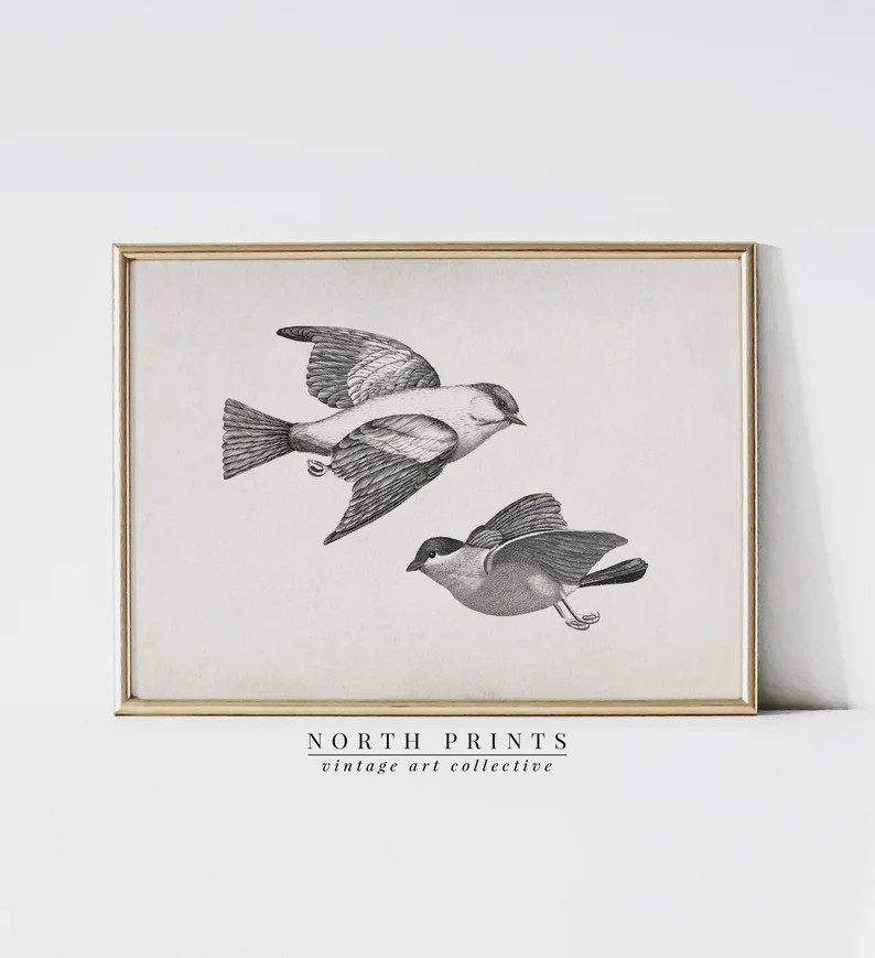 Antique Bird Sketch Art Print | Vintage Neutral Farmhouse Wall Decor | Digital PRINTABLE | 1101 | Etsy (US)