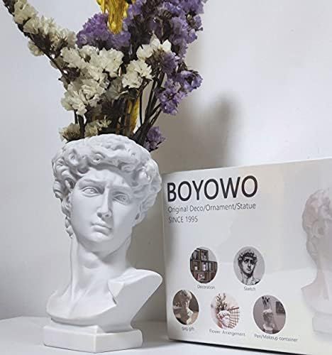 BOYOWO David Statue Greek Bust Face Vase Head Planter Roman Cute Room Decor Aesthetic Dark Academ... | Amazon (US)