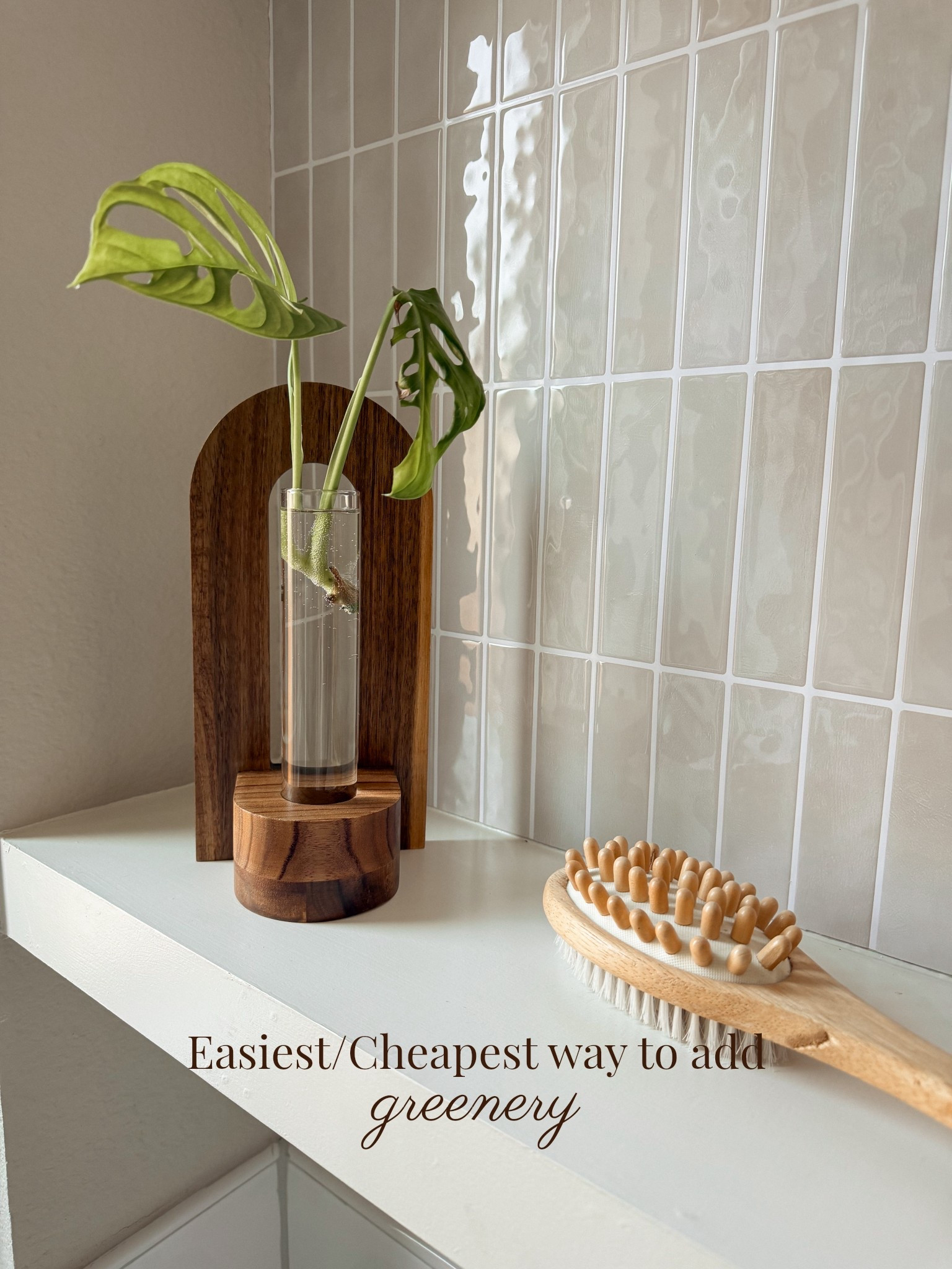 Propagate those plants! One of my favorite indoor plants is the pothos plant! It’s so easy to take care of and grows super fast, making it perfect for planting!! Pictured is actually a type of monstera. These are great too, just a little more picky! I got this propagation vase at Target! I love it!!! Perfect for spring home decor. Gives that natural element 

#LTKHome #LTKdayinmylife #LTKstorytime