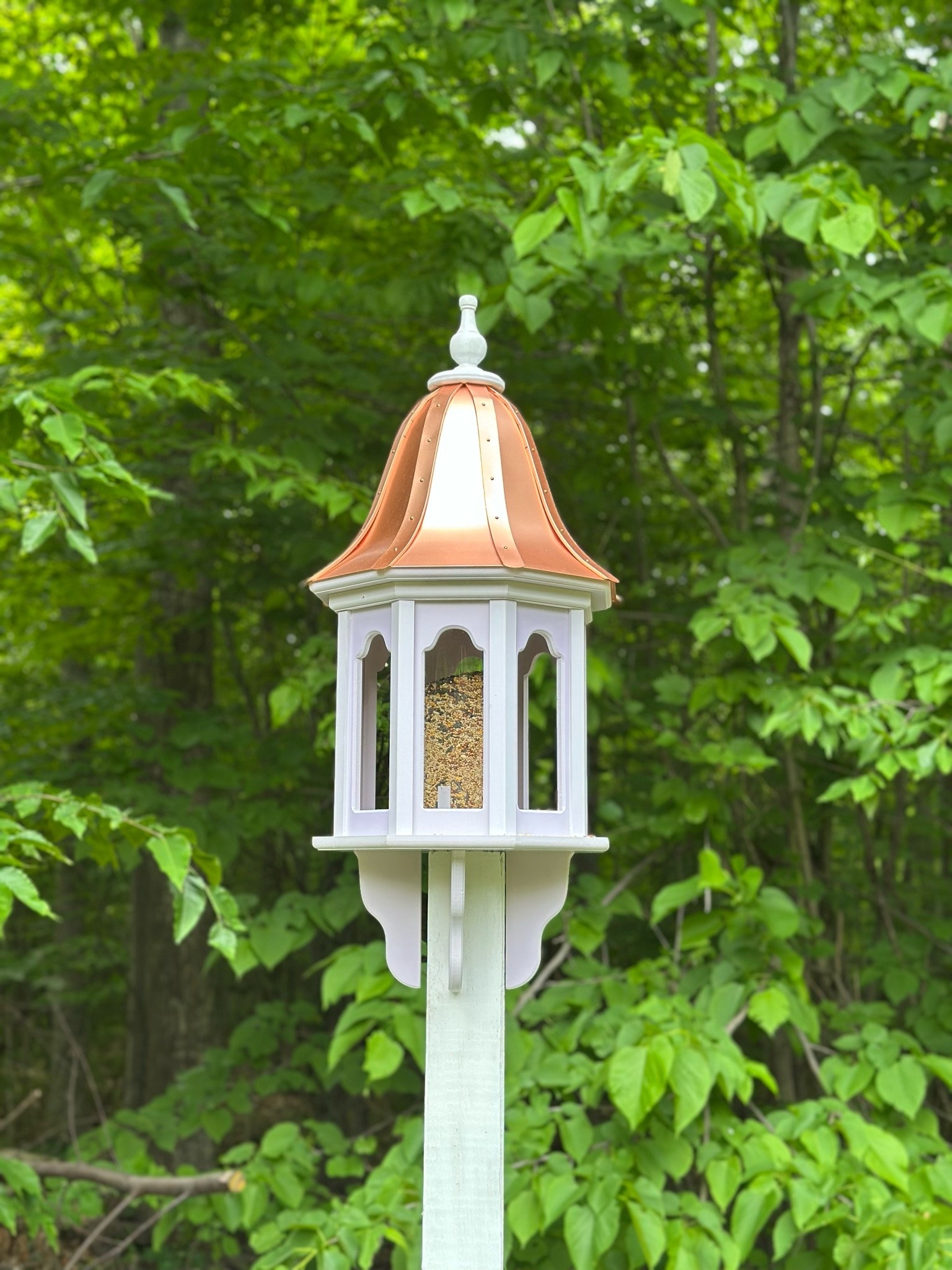 Stunning bird feeder

#LTKHome #LTKSeasonal