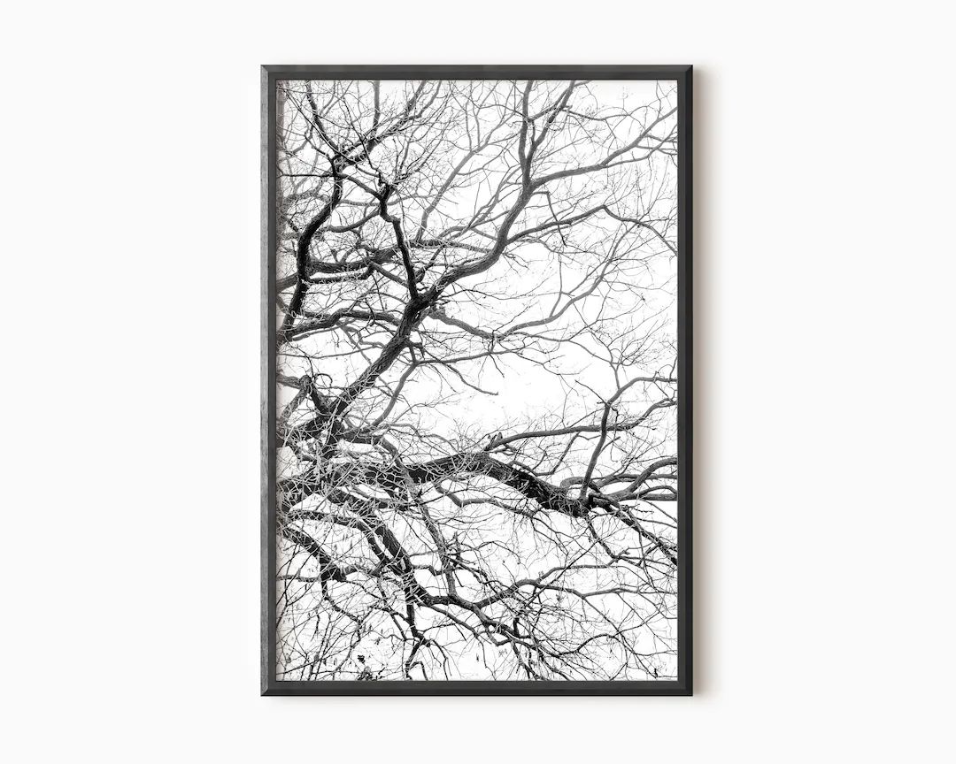Tree Branch Print Nature Wall Art | Black And White Tree Wall Art | Forest Branches | Tree Photog... | Etsy (US)