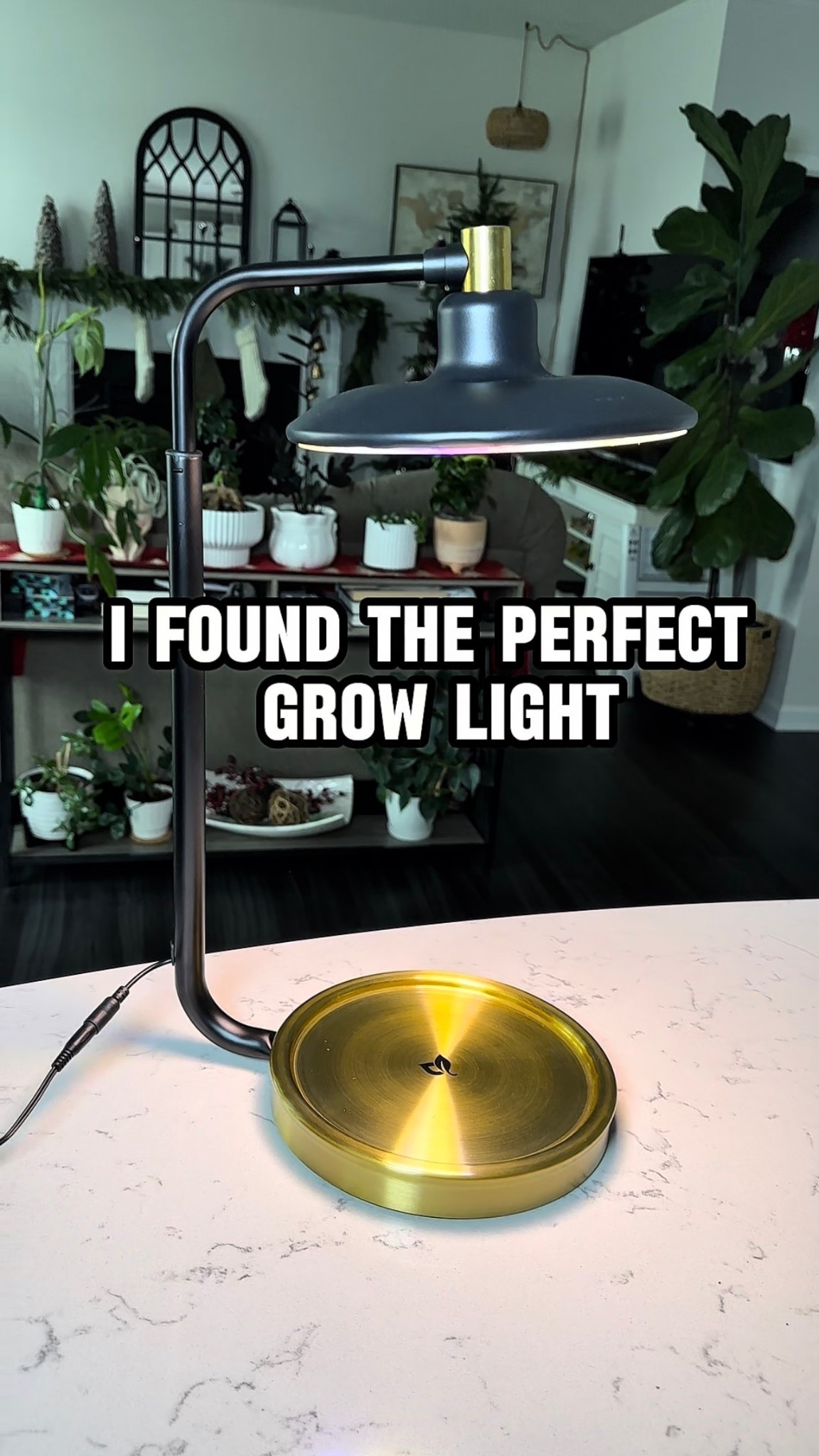 The prettiest table top growlight 

#LTKGiftGuide #LTKHoliday #LTKSaleAlert