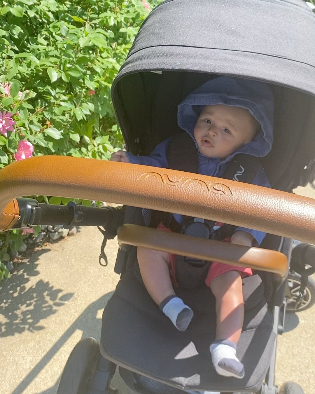 Nuna PIPA urbn + MIXX Next Infant Travel System. Nuna stroller. Nuna black stroller. Nuna car seat. Grow with baby stroller 

#LTKBaby #LTKFamily