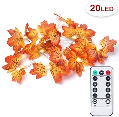 OMGAI Fall Maple Leaf String Light with Remote Control Timer, Waterproof Thanksgiving Decorations... | Amazon (US)