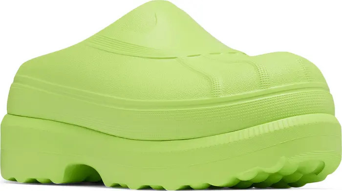 Caribou Clog (Women) | Nordstrom