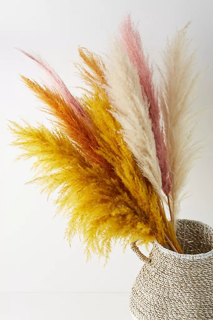 Dried Pampas Grass Three-Stem Bouquet | Anthropologie (US)