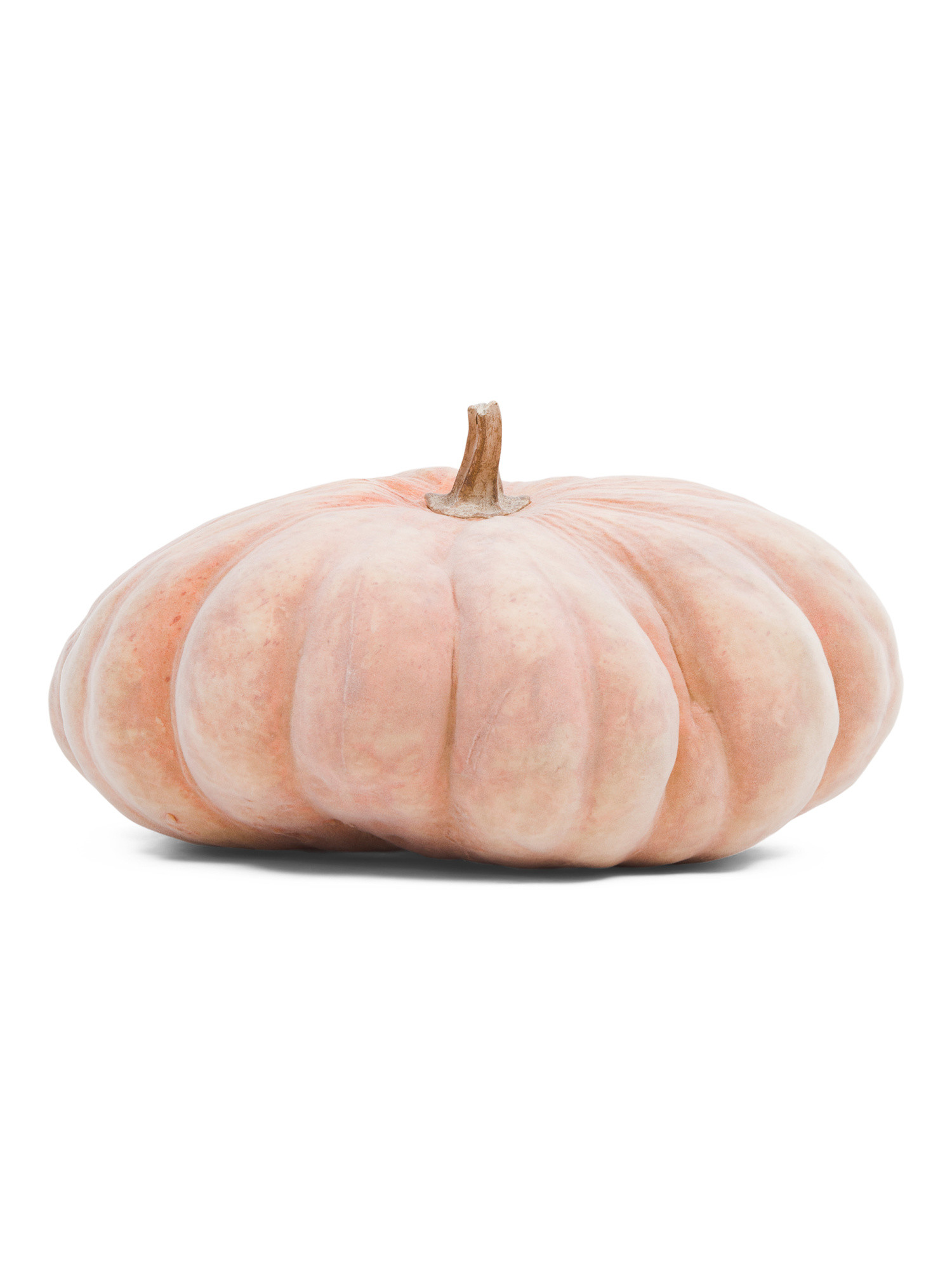 Flocked Pumpkin Decor | TJ Maxx