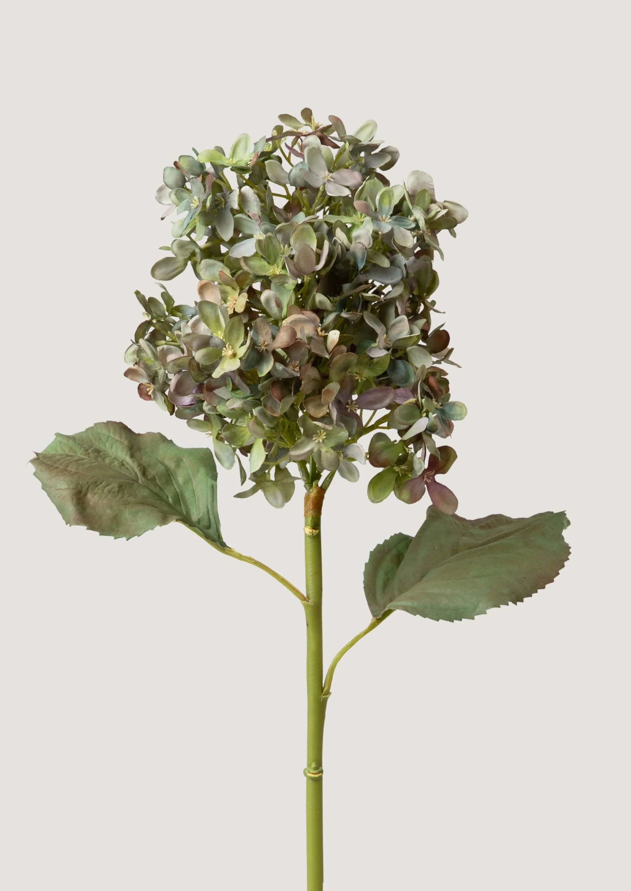 Dried Look Faux Cone Hydrangea in Blue Green Hues - 21" | Afloral