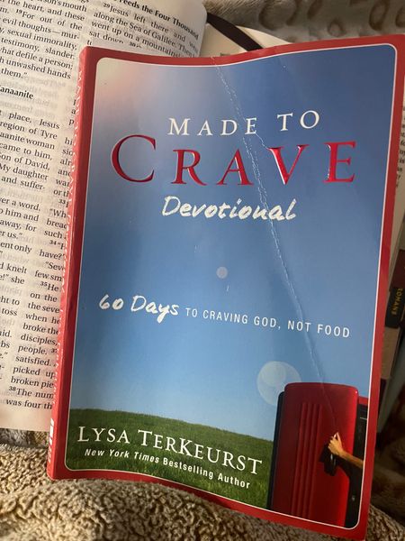 Starting new devotional. It’s time. 

#LTKcurves #LTKfit #LTKGiftGuide