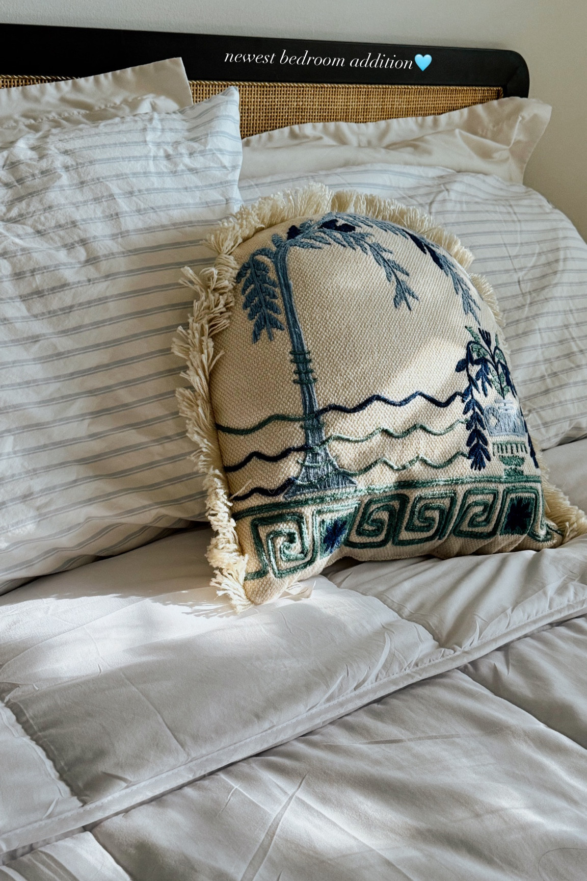 Newest Bedroom Addition 🩵

Our bed felt cozy but SOMETHING was missing, then THIS gem appeared at World Market

#homedecor #throwpillows #homedesign #homeinspo #bedroominspo #worldmarketfinds 