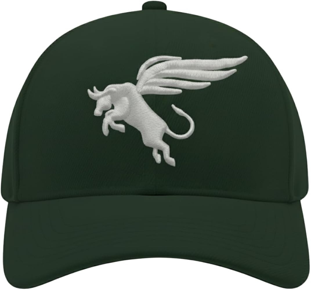 Premium Baseball Cap for Men & Women \u2013 Adjustable Dad Hat, Breathable Cotton, Daily Fashion,... | Amazon (US)