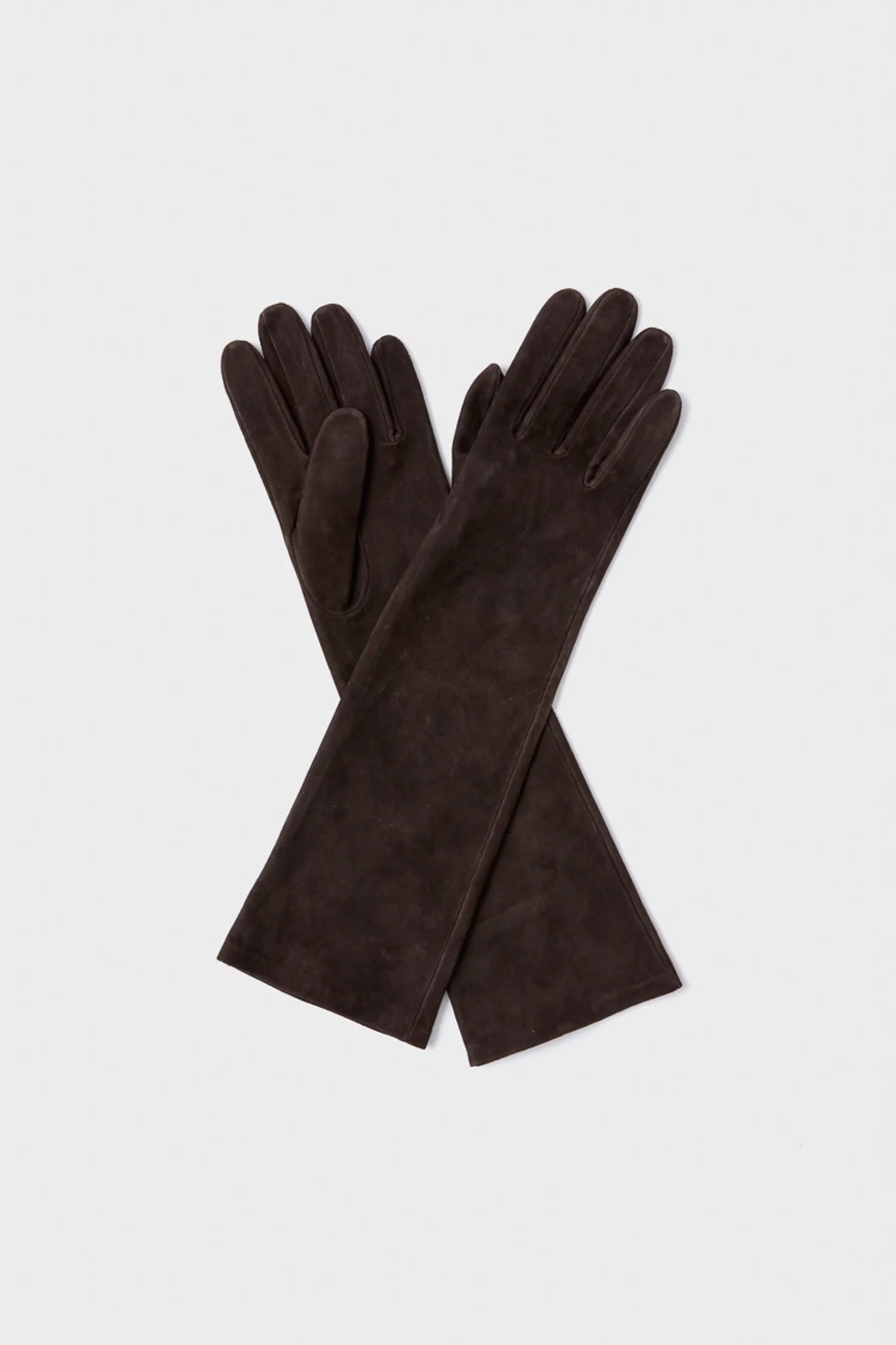 Demitasse Long Suede Gloves | Tuckernuck (US)