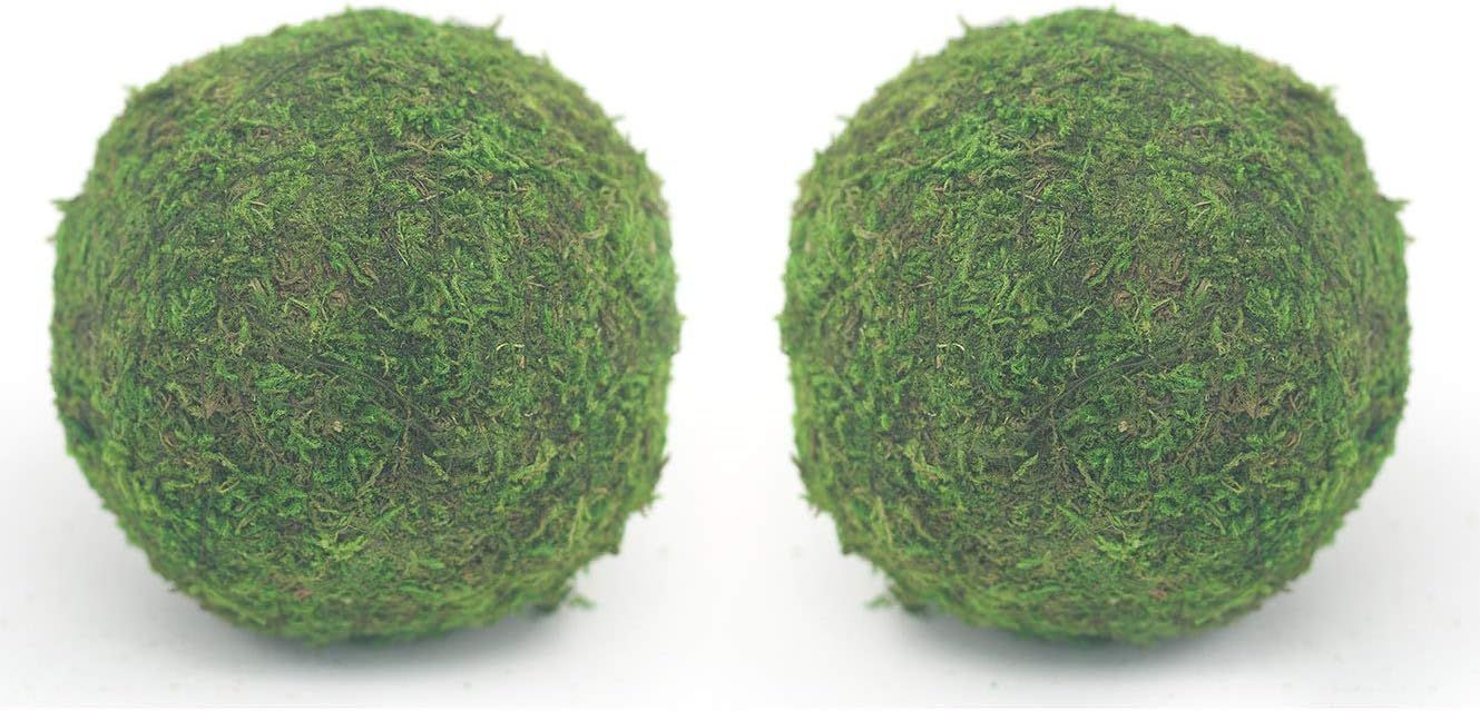 Nice purchase Handmade Natural Green Plant Moss Balls Decorative for Home Party Display Decor Pro... | Amazon (US)