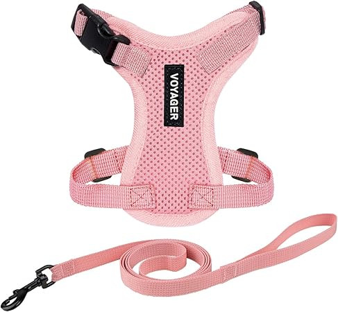 Voyager Escape-Proof Step-in Lock Cat Harness & 5ft Neoprene-Handle Leash Set All-Weather Mesh wi... | Amazon (US)