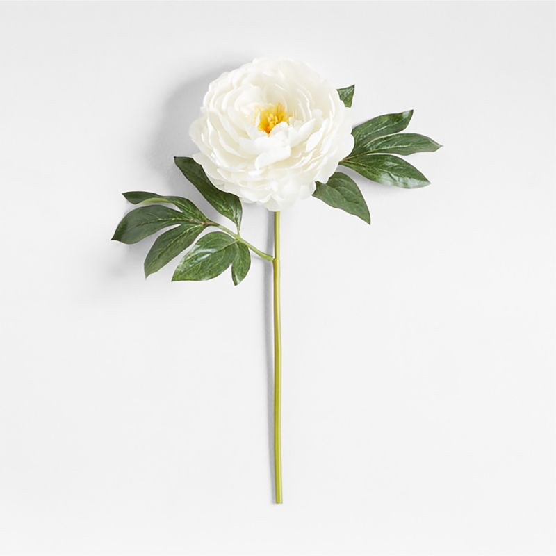 Faux White Peony Stem 20" by Abigail Ahern + Reviews | Crate & Barrel | Crate & Barrel