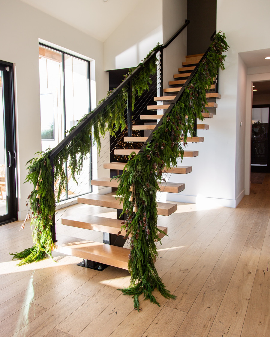 If you’ve followed me through a few Christmases, you’ve seen these Norfolk pine…