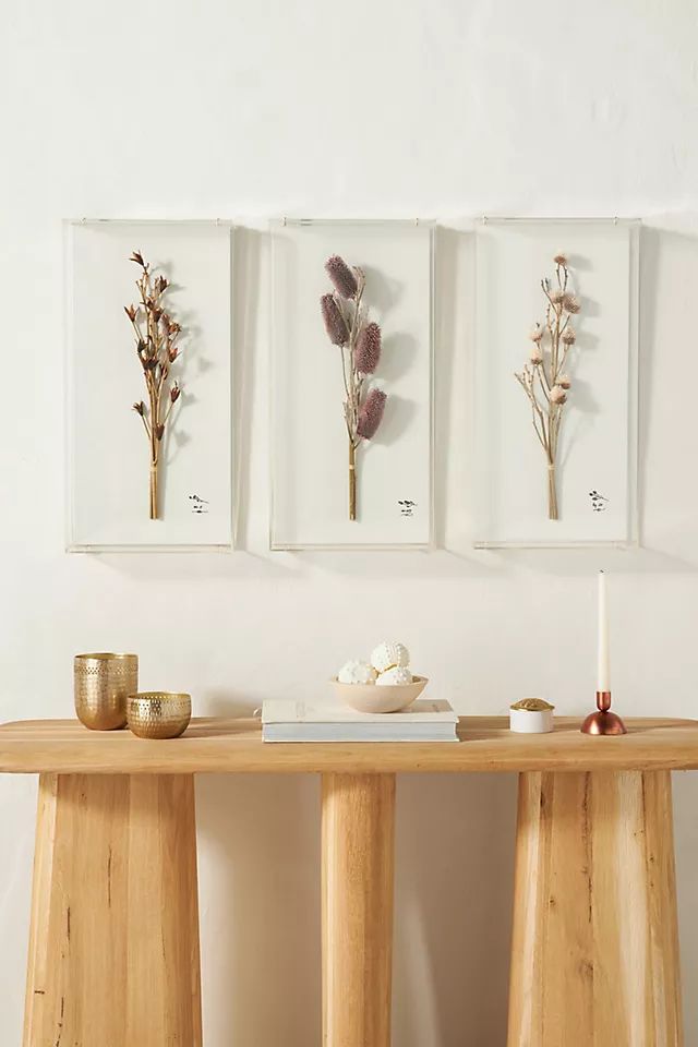 Dried Botanical Wall Art | Anthropologie (US)