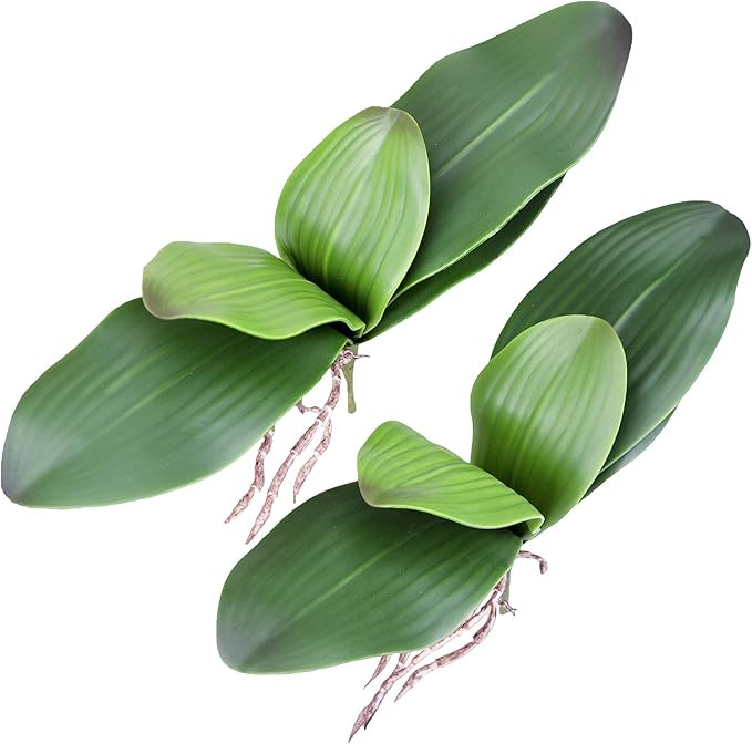 Fnize Faux Orchid Leaves Artificial Phalaenopsis Leaf Bulk 10 Inches 2pcs Real Touch Latex Cymbid... | Amazon (US)
