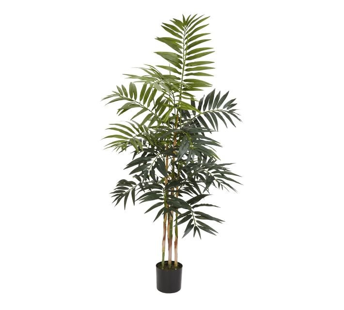 Faux Bamboo Palm Tree | Pottery Barn (US)