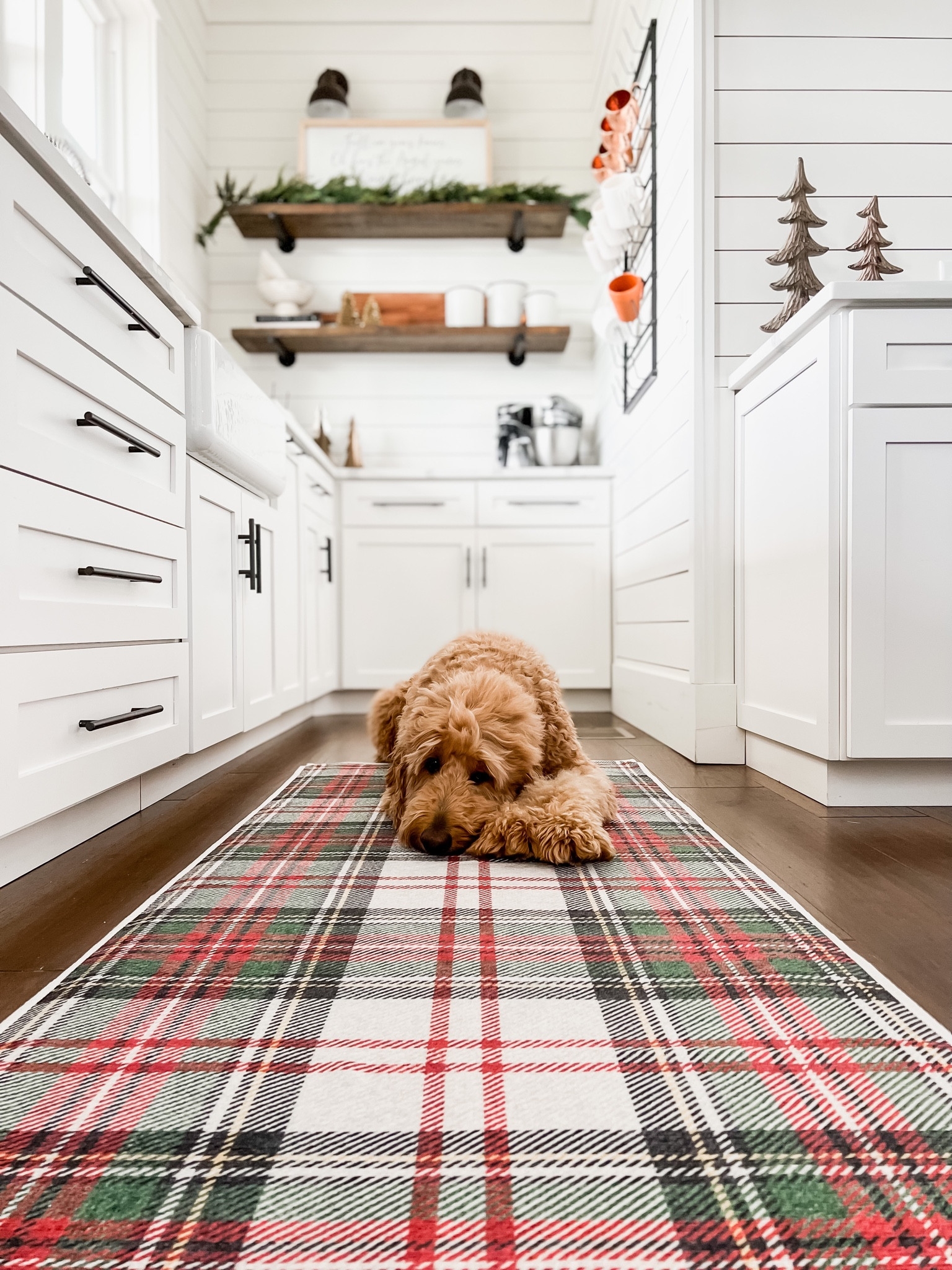 Christmas and holiday home decor favorites and best sellers kitchen runner washable rugs by ruggable Stewart tartan plaid red and green floor mats padded rug use code BRUNOANDLIBBY10 for 10% off your purchase! Gift idea Black Friday deals and sales home accents and accessories 

#LTKstyletip #LTKHoliday #LTKhome