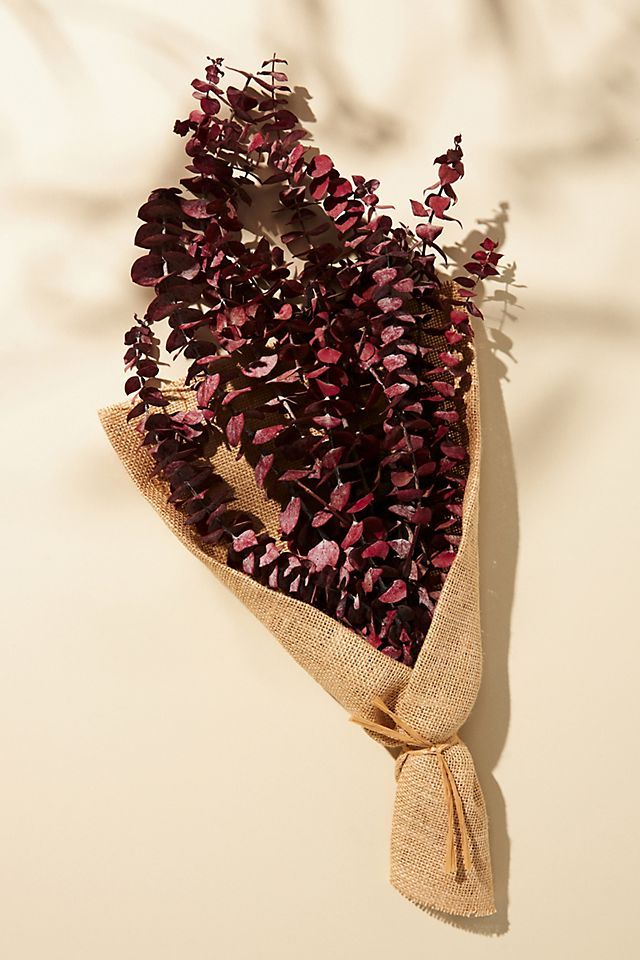 Dried Eucalyptus Bouquet | Anthropologie (US)