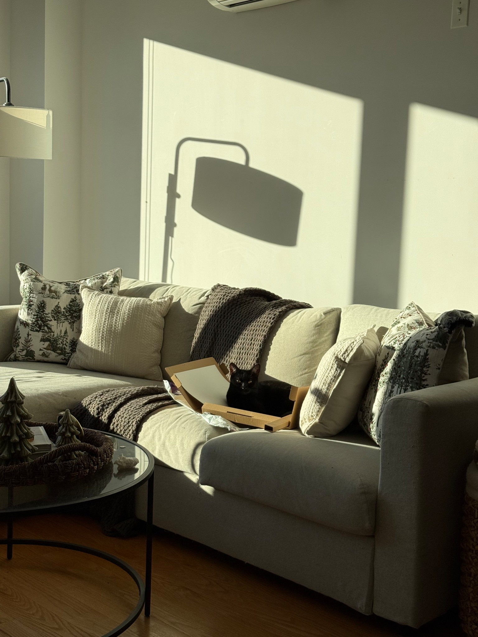 Who needs cat toys when you have a box? A cozy lazy Sunday morning spent together 🤍🐈‍⬛

#LTKootd #LTKmorningroutine #LTKdayinmylife