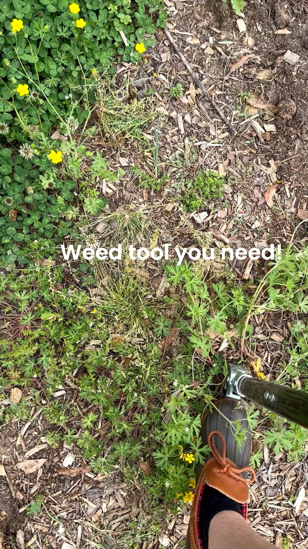 Best Amazon purchase in awhile. Weed tool for garden season 

#LTKHome #LTKSeasonal #LTKSaleAlert