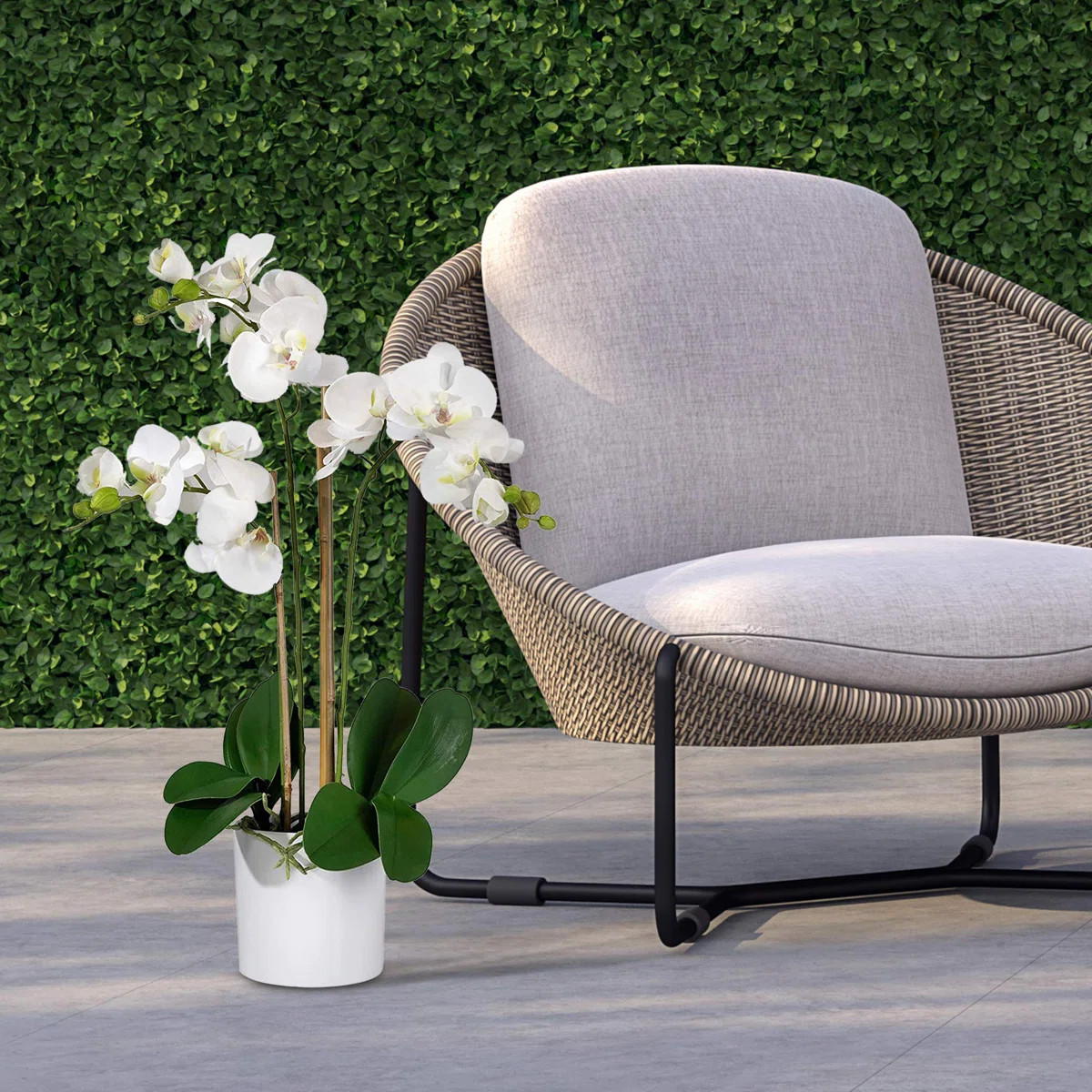Keira Orchids Floral Arrangement in Pot | Wayfair North America