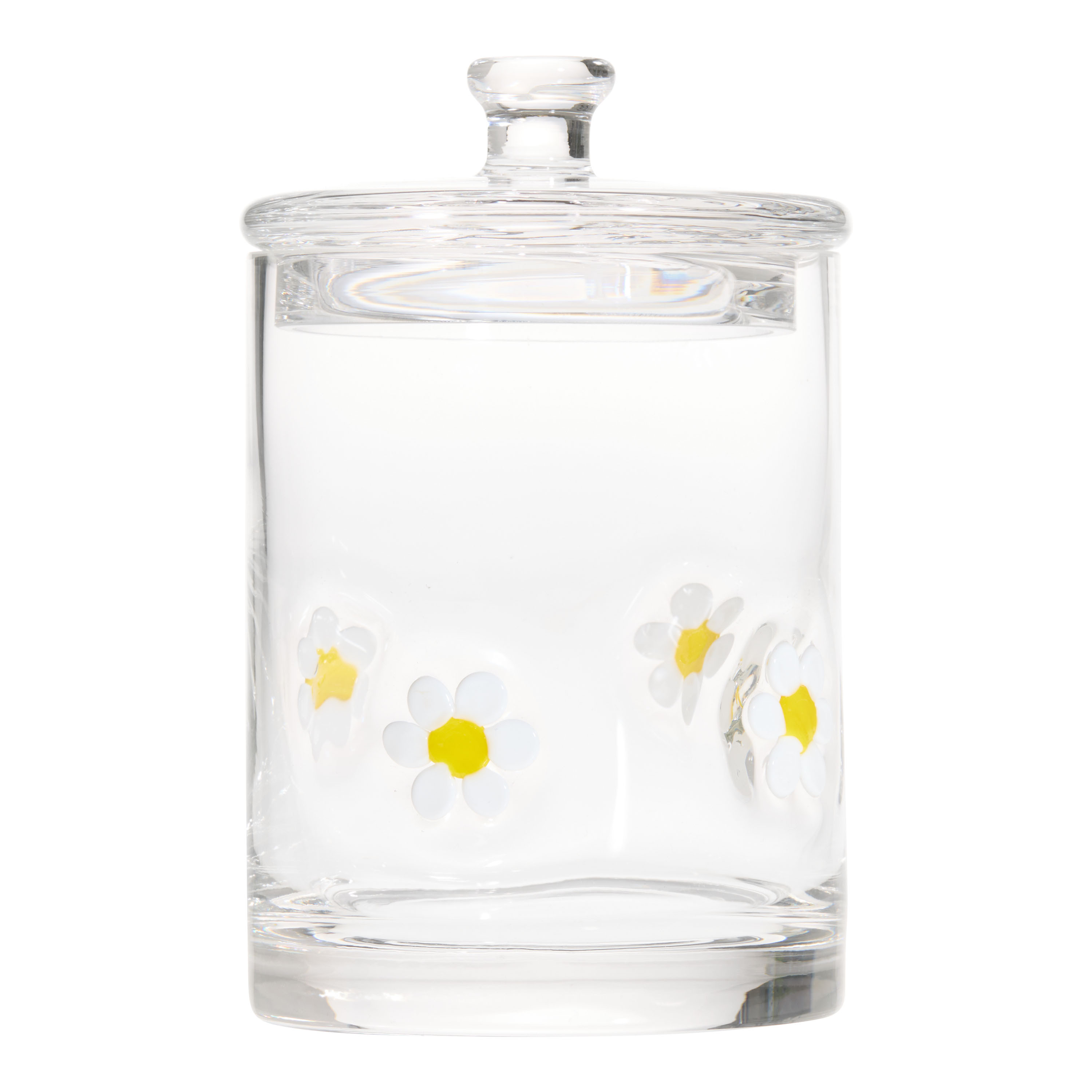 Charm Daisy Inlay Glass Canister with Lid | World Market