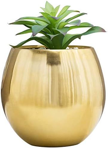 MyGift 6-Inch Brushed Brass Plated Metal Table Vase - Round Bowl-Shaped Succulent Planter Pot - H... | Amazon (US)