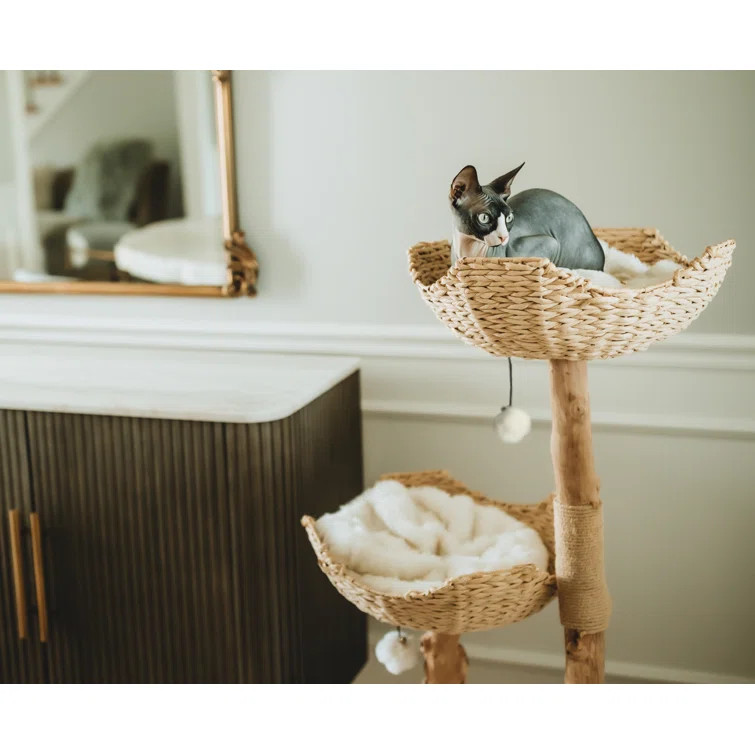 Seeman 45.5'' H Cat Tree | Wayfair North America