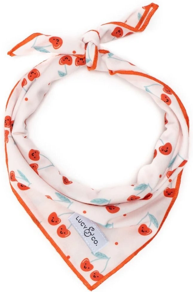 Lucy & Co. The Cheery Cherries Dog Bandana, Red, Large | Chewy.com