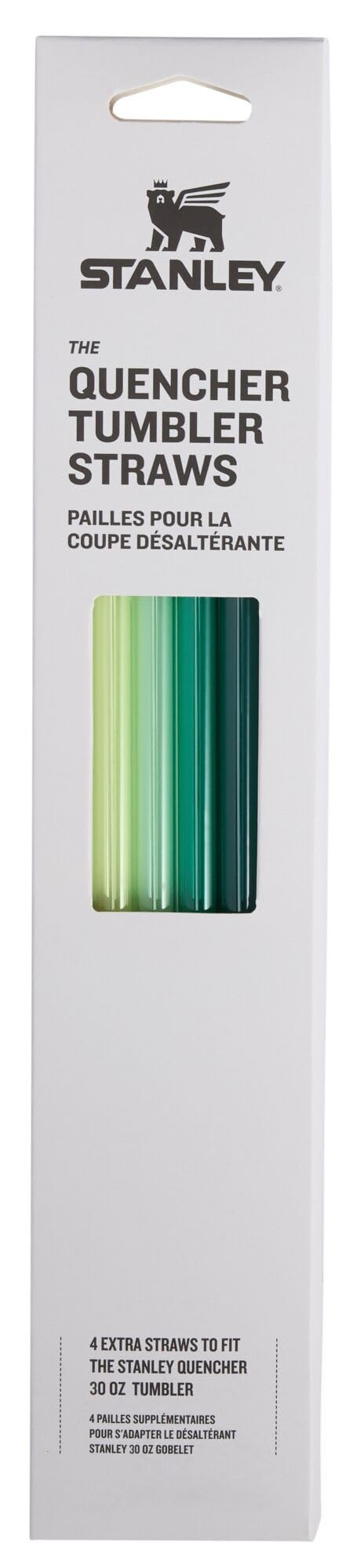 Stanley Quencher Tumbler Straws | Reusable Replacement Straws for Tumbler with Handle | Stainless... | Amazon (US)