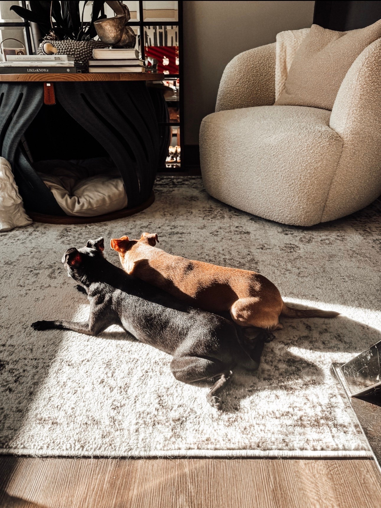 Apartment Therapy: Dog-friendly Home Office Ideas

Visit lindseyandcoco.com for more information on The Ripple Pet Home. Search “Ripple.”

Scroll to shop.

#LTKPet

#LTKHome #LTKBeauty