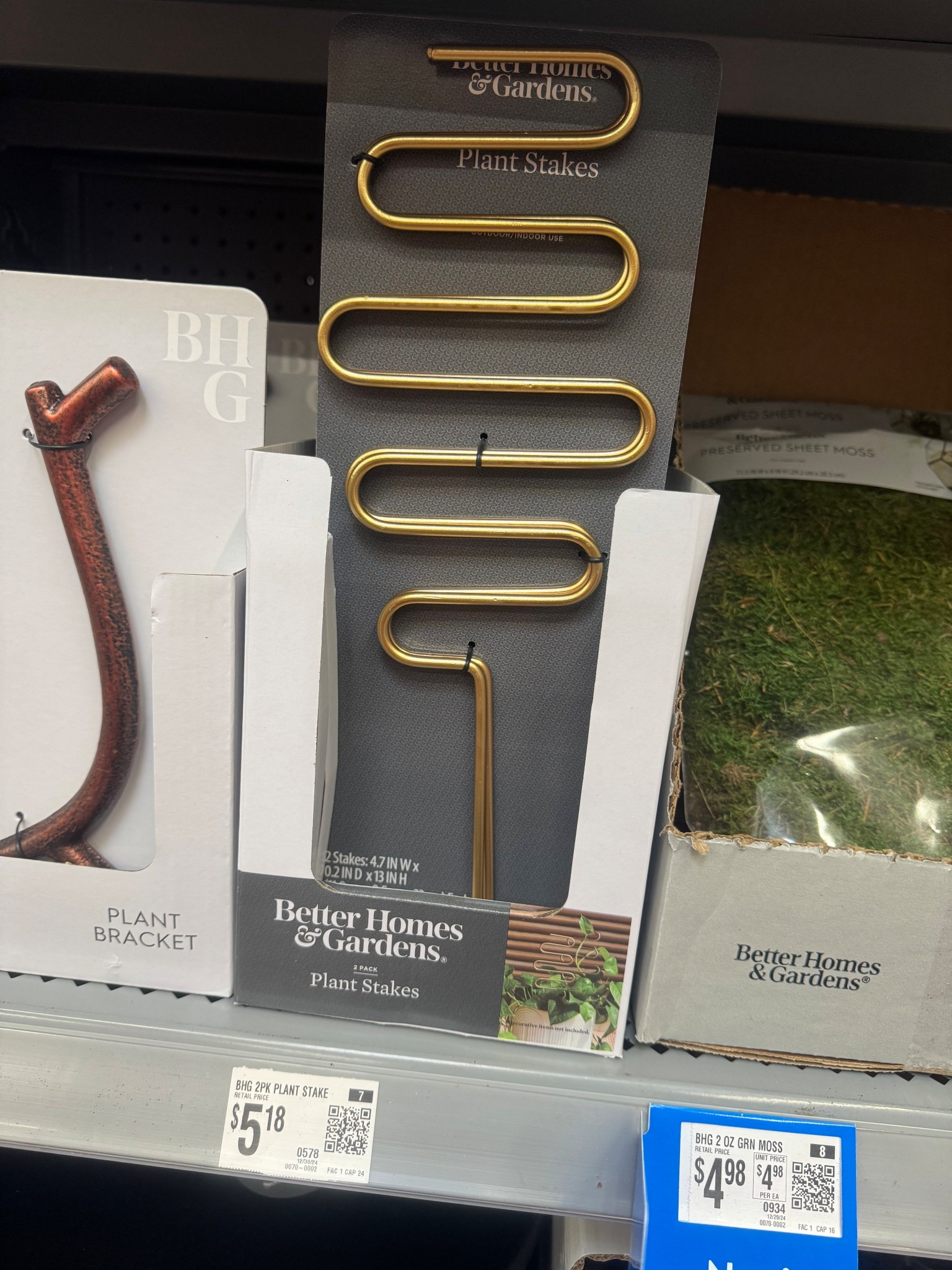 Plant life. Plant season. Plant Snake 

#LTKSeasonal #LTKSpringSale #LTKHome