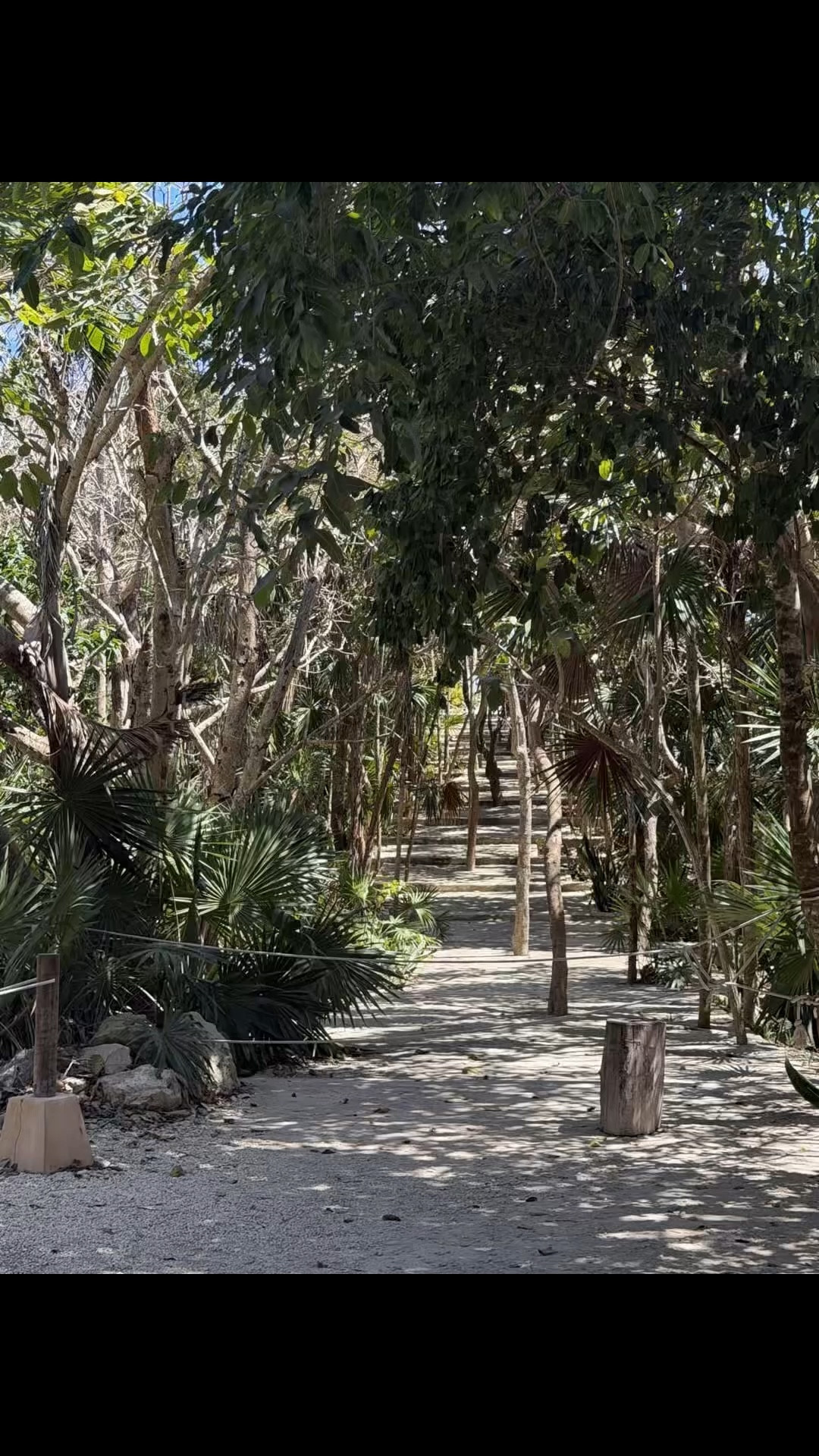Tulum Archaeolgical Site and Museum is a must if you are traveling to Tulum! https://rstyle.me/+Ul6upMpzkHhlxik_fG9jjw 
#tulum #mexicanhistory #mexico

#LTKSwim #LTKTravel #LTKstorytime