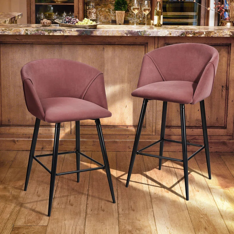 Futch Counter & Bar Stool (Set of 2) | Wayfair North America