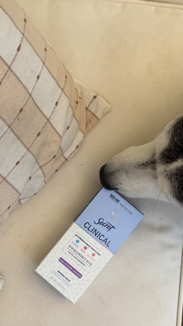Secret Clinical strength deodorant, my everyday pick for days that start early and end late. Even the dog agrees it's nap time by the time I finally sit down. 

 #LTKselfcare #LTKBeauty
