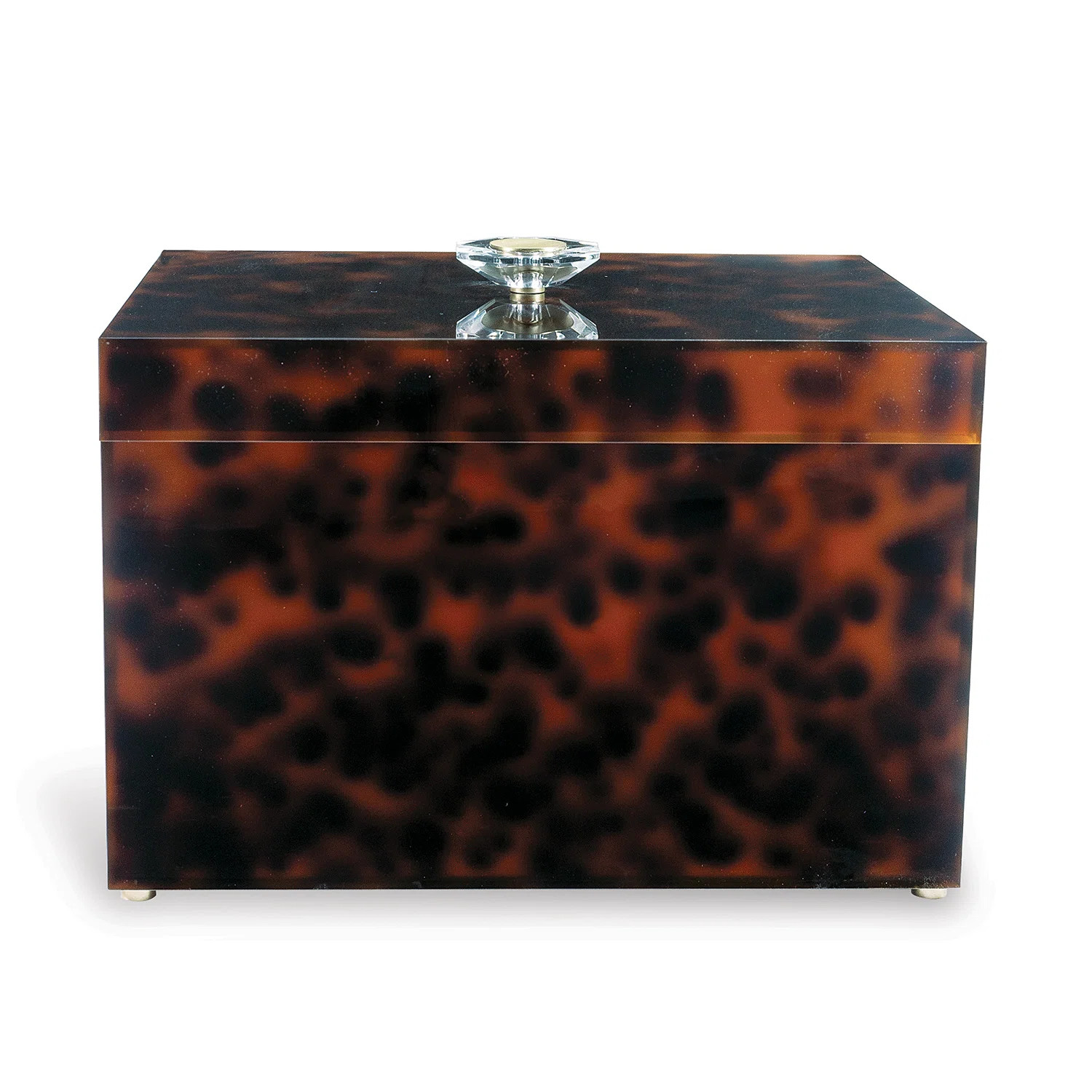 Port 68 Milan Tortoise Box | Perigold | Perigold