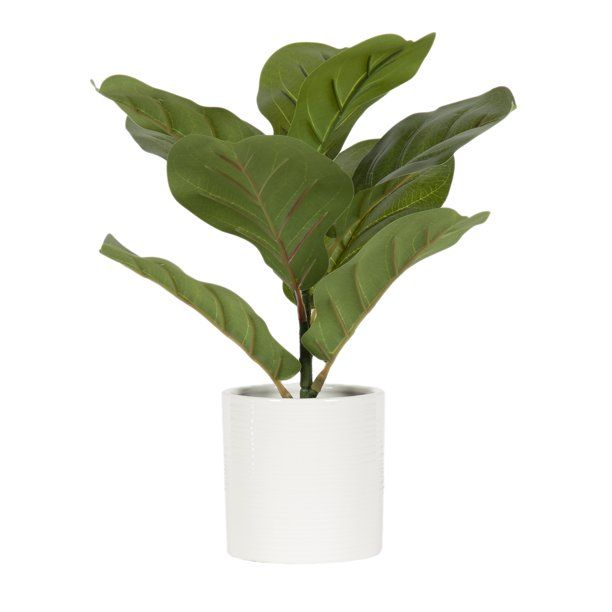 Mainstays 12.2" Artificial Fiddle Fig, Green | Walmart (US)