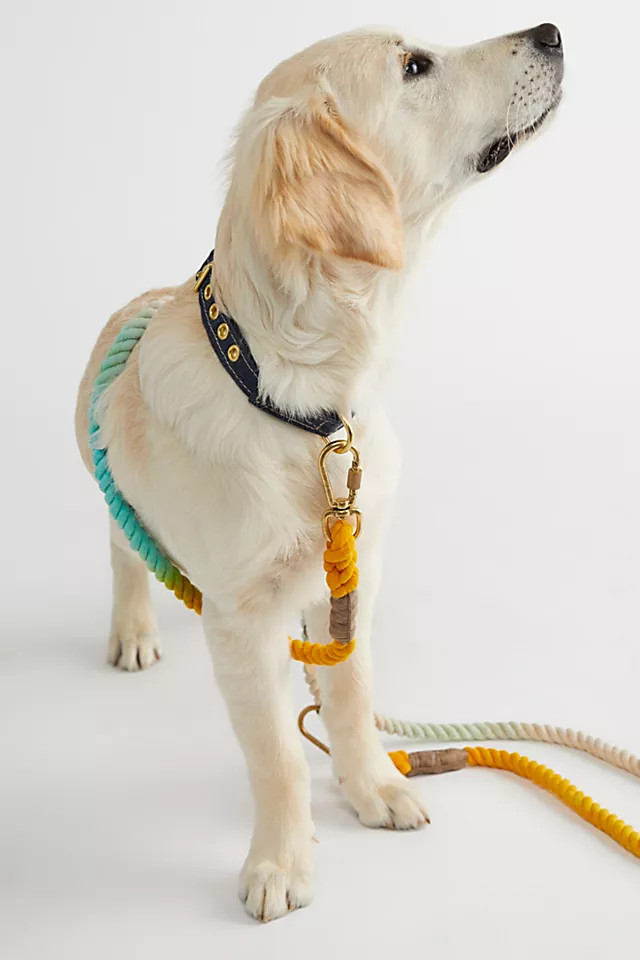 Noelle Adjustable Leash | Free People (Global - UK&FR Excluded)