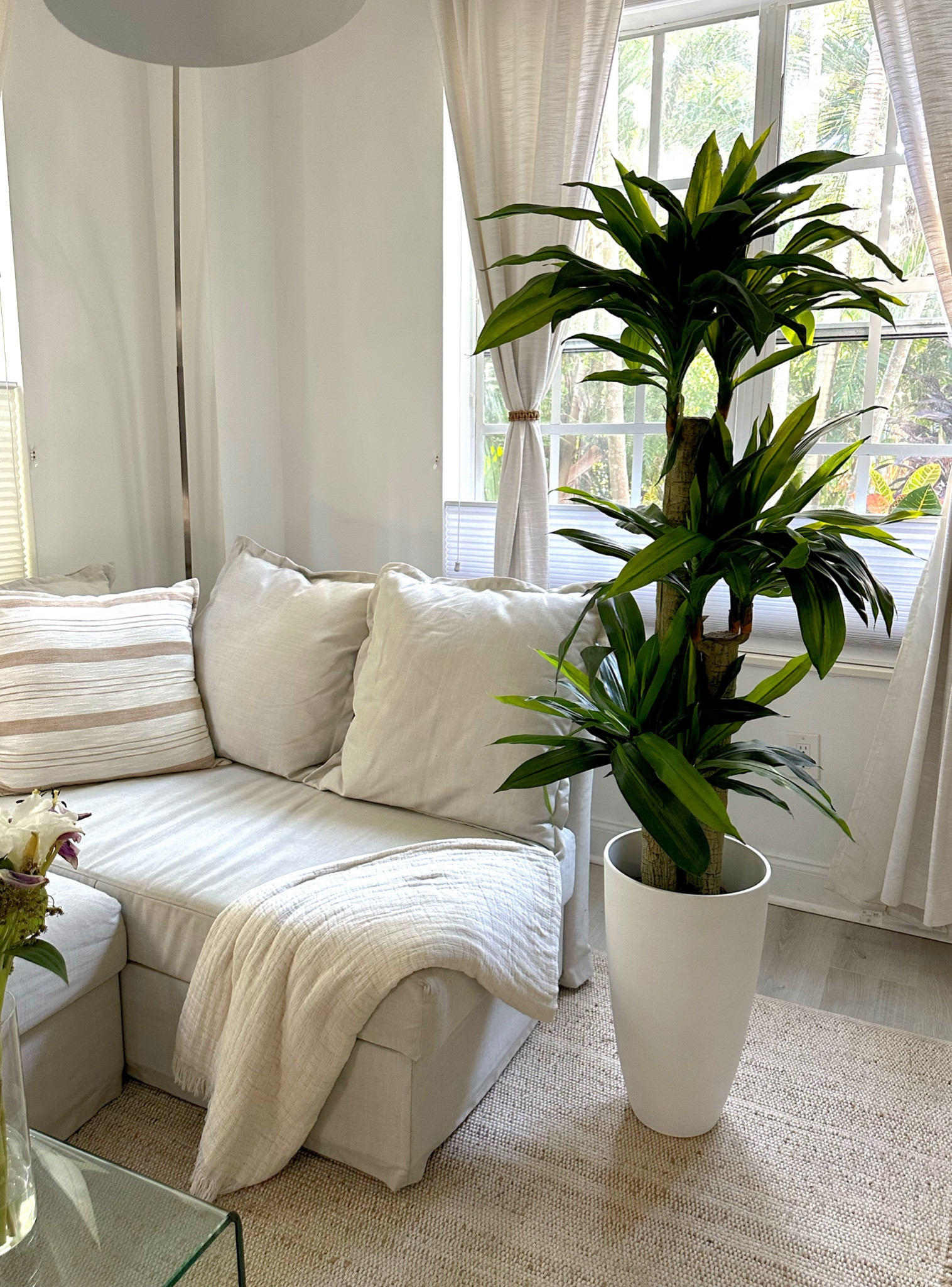 Adding some life in 🌴 



#LTKStyleTip #LTKHome #LTKFindsUnder50